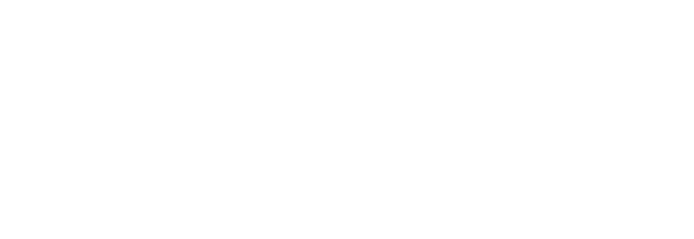 bizAPIs